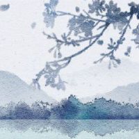 富强深刻的女性生命八个字符正式净化八个单词