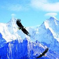 2019年新版的公司名字大全