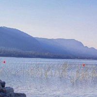 出生的人的八个字符命运如何？