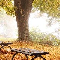 八个字符的命运是如何出生于B的。