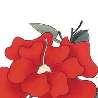 回门宴流程有哪些步骤 回门宴的日子有讲究吗