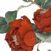 回门宴新娘讲话最简单大气的 致辞包括三个方面