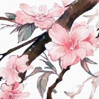 结婚当天回门有什么讲究  回门要穿新衣裳