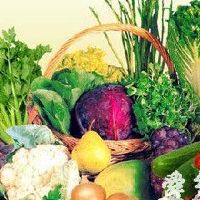 蔬菜配送中心起名