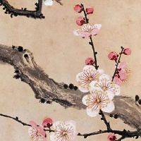 医疗器械公司名称取名 热门好运的企业取名