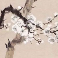 医疗科技公司起名大全最新 彰显技术高超的公司名字