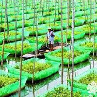 生态养殖场起名大全