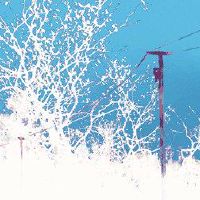 为什么你不能发布女孩的家人？