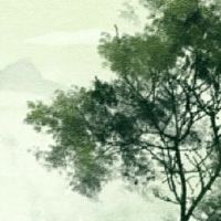 日日看2022，壬寅年运财广进广进不行