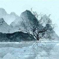 Waxyl每日支柱的财富如何在2022年？