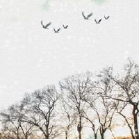 2022年农历六月初五宜搬家吗 是不是乔迁吉日