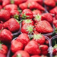 好听独特的水果店名字