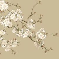 五鬼车牌号是什么意思 5鬼车牌代表什么