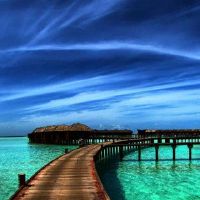 八个字符的颜色是什么？