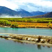 2019年8月12日出生的双胞胎女孩的名字是什么？五个要素是什么？