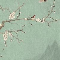 0开头的车牌哪些人能开 最新吉利完美的车牌组合