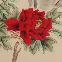 属猪人最苦命出生时辰 辰午申时命坎坷