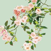 车牌号不能选33 寓意好的车牌吉利号