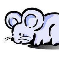 1984年，鼠标女性生活2022财年38岁的男孩每月超过2022年