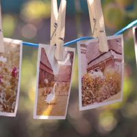 像某人一样，这四个星座的表现是什么？你不能抑制你的心吗？