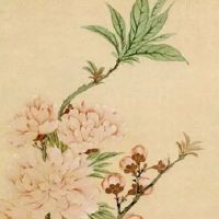 清明节在娘家住对谁不好 此节日不合适扫墓人群