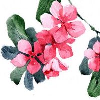 本命年该怎么做才能运气变好 本命年改善布局气运好