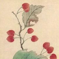 个人命盘详解(免费版) 紫薇命盘十二宫概述