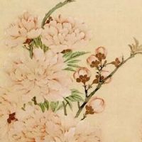 八字合的婚姻一定幸福吗 八字相合天生适合在一起