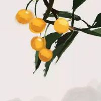 称骨算命闰年还是闰月加一钱 闰月出生的人命硬