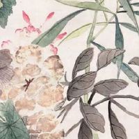 医疗器械公司名称  企业取经典有意蕴的医疗公司名