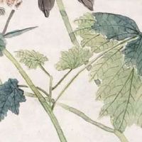 健康产业公司名称取名 聚财好运的好名字