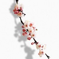 今日五行穿衣色查询:2022年7月8日幸运色指南