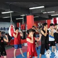 散打培训班起名大全