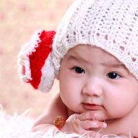 女孩起名带草字头的名字