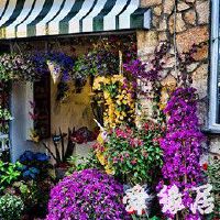 给花店取名字好听的店名大全