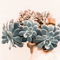 qq飞车名字简约两个字