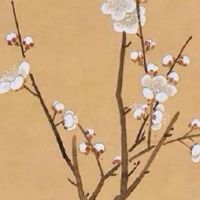 医疗器械公司起名字大全免费 顺口好念的企业名字大全