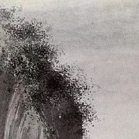 1986年的虎今年命运怎么样 勤于思索不可急