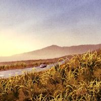 新车在哪里，新车的第一天，新车无法打开