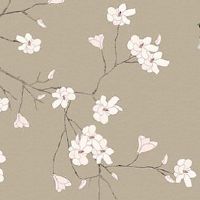 车牌号什么数字吉利 最新发财旺运的车牌