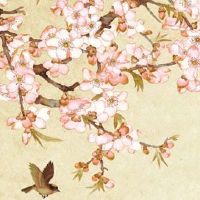 车牌号尾数是几最好 车牌尾数靓号推荐