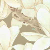 车牌号码吉利数字大全 吉利车牌尾数的号码盘点