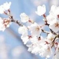 什么样的人可以做大老板？