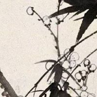 流年命宫化忌入夫妻宫 紫微斗数推断配偶来源