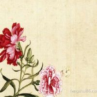 立秋和寒露一样的含意吗？秋分节气的含意是啥？