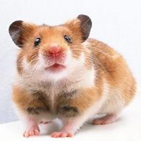 道德经取名 男孩