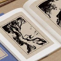 钢铁贸易公司以王义财富的王王姓名建议