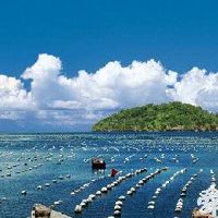 水产养殖场起名大全