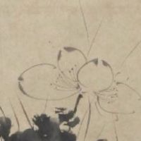 天蝎座手机号用3好还是5好 开运吉利数理测算