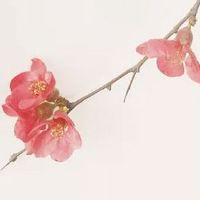 今日穿衣指南:2022年7月18日五行穿衣幸运色